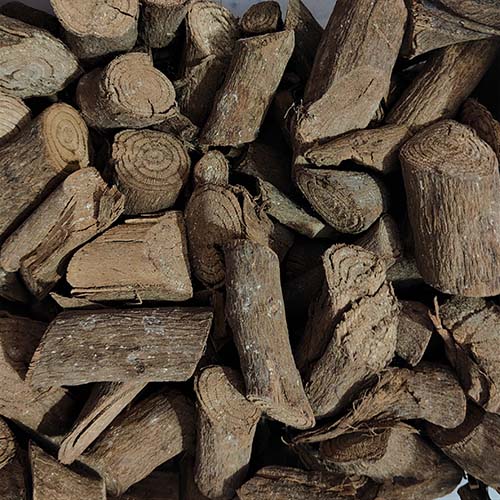 Bruddha Taraka Root